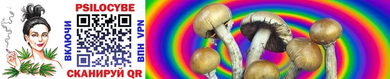 Галлюциногенные грибы Psilocybine cubensis Купить Петушки