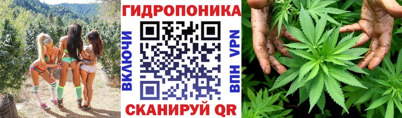 Купить закладки  Петушки  Шишки марихуана VHQ 